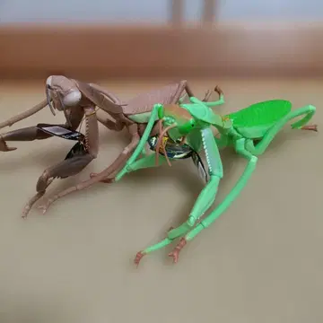 BIG 사마귀 피규어 2체 세트