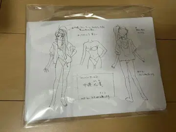 아이돌 방위대 허밍버드 설정 자료 96장