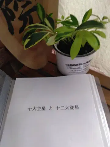 산명학 교재 [ 10대 주성과 12대 종성 ]