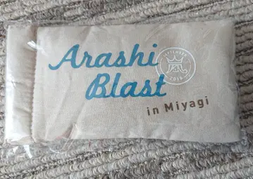 아라시 Blast in 미야기 안경 케이스