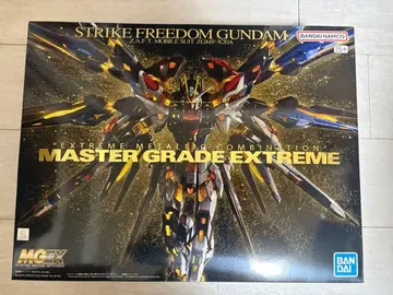 스트라이크 프리덤 건담 MG 익스트림