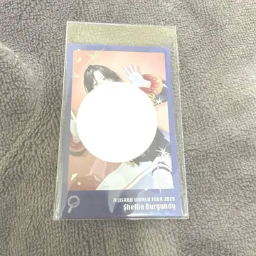 수주 판매 니지산지 WORLD TOUR 2025 고베 폴라로이드 셰린