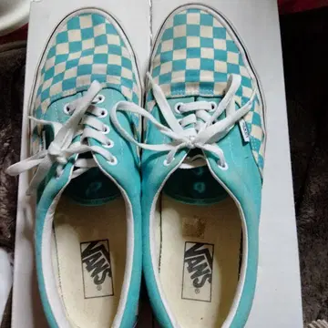 VANS 터콰이즈 체크 스니커즈