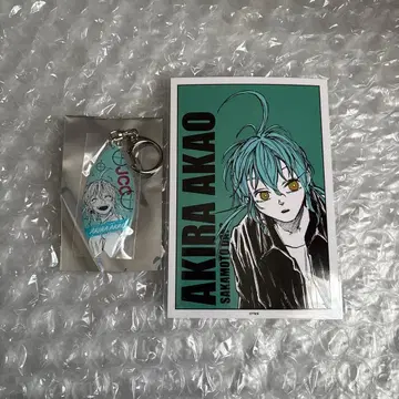 사카모토 데이즈 아카오 아키라 서핑보드