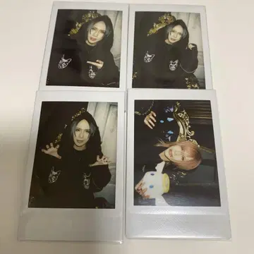 Royz 폴라로이드 이기나 씨 111