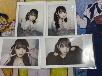 코이호시 하루카 란체키