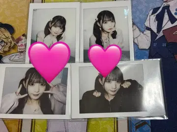 코이호시 하루카 란체키