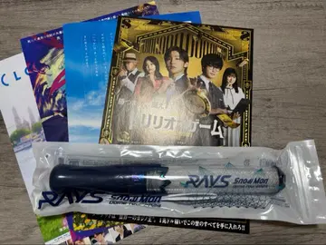 RAYS Snowman Dome Tour 2024 응원봉