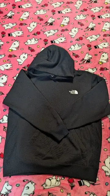 THE NORTH FACE 후드티 블랙