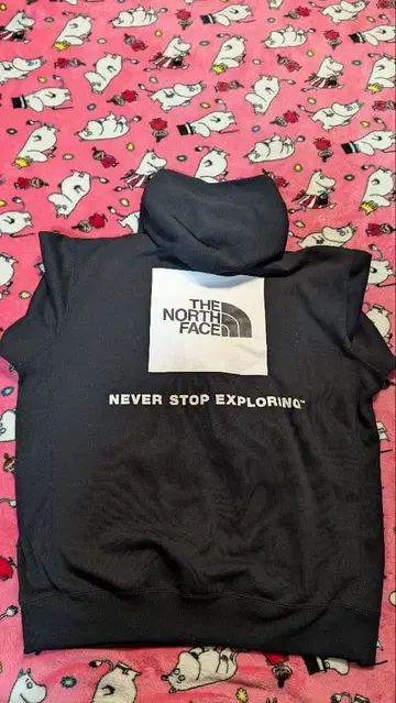 THE NORTH FACE 후드티 블랙