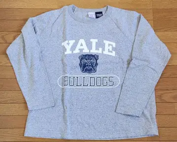 챔피온 칼리지 롱Tee T1011 YALE USA