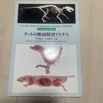 쥐의 단면 해부 아틀라스