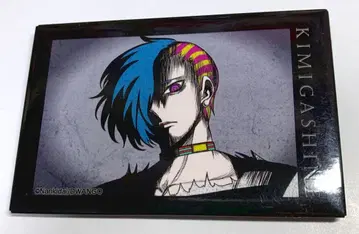 키미가시네 다수결 데스 게임 하치부사메 앨리스 굿즈 캔뱃지 3