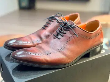 안토니오 두카티 내측 깃털 메달리온 비즈니스 슈즈