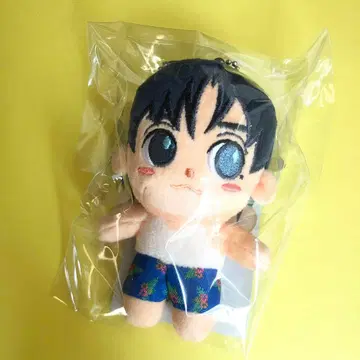 미니 용화 키링 CNBLUE 2025 솔로 콘서트 봉제 인형 미개봉