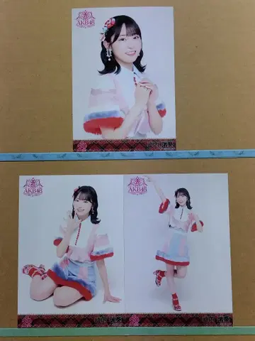 AKB48 야마우치 미즈키 20th 일본 무도관 랜덤 브로마이드 컴플리트