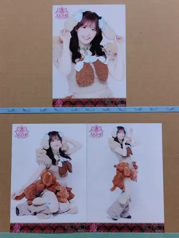 AKB48 무토린 20th 일본 무도관 랜덤 브로마이드 컴플리트