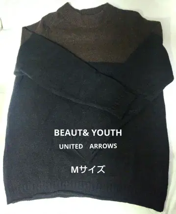 BEAUTY&YOUTH 브라운과 블랙 크루넥 니트 M 사이즈
