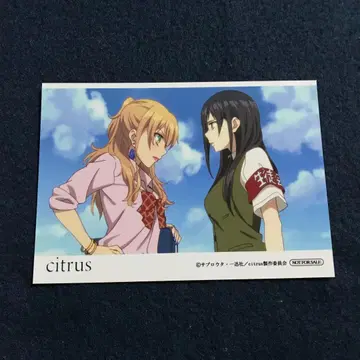 citrus 혜택 사브로 우타 브로마이드