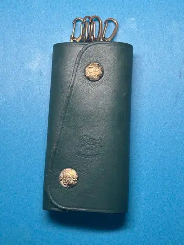 IL BISONTE 키케이스 그린 일비종떼