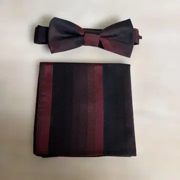 나비 타이 치프 2