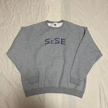 SEESEE FRUIT OF THE LOOM 맨투맨