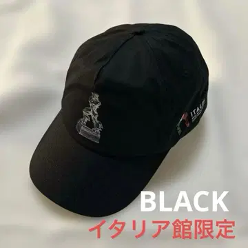 미사용 새상품 EXPO25 이탈리아관 한정판 캡 블랙 보치오니 모자 블랙
