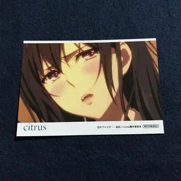 citrus 혜택 사브로 우타 브로마이드