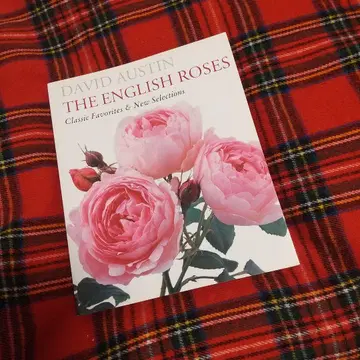 잉글리시 로지스 영문판 THE ENGLISH ROSES