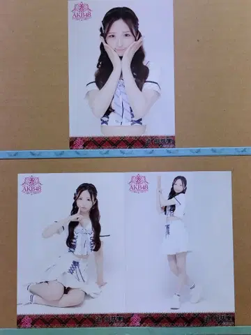 AKB48 사쿠라 메구미 20th 일본 무도관 랜덤 브로마이드 컴플리트