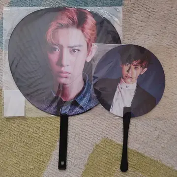 EXO 찬열 부채