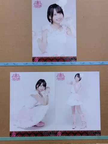 AKB48 사카가와 히카 20th 일본 무도관 랜덤 브로마이드 컴플리트