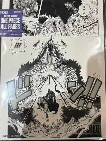 ALL PAGES 카이도 vs 루피