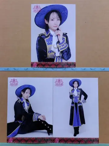 AKB48 나리타 히나 20th 일본 무도관 랜덤 브로마이드 컴플리트