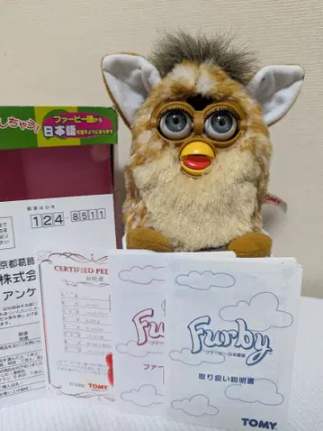 파비 표범 무늬 일본어