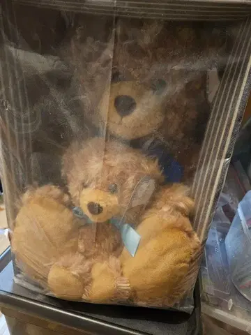 테디베어 2체 세트