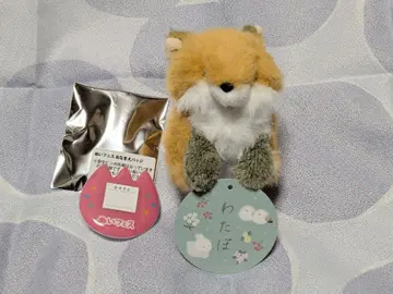 북쪽 여우 봉제 인형 와타포