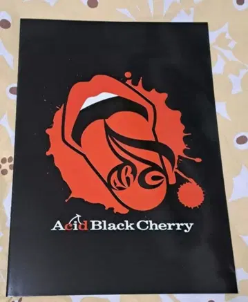 AcidBlackCherry 2007 프리 라이브 팜플렛