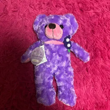 홋카이도 한정 라벤더 베어 봉제 인형