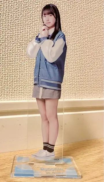 히츠미야 히나 아크릴 스탠드 MyGO!!!!!