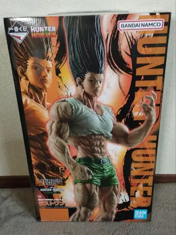 HUNTER x HUNTER 라스트 원상 곤 성장ver. 덤 포함