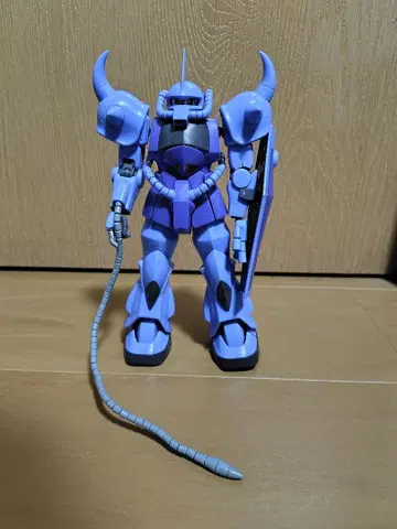 MG 구프 Ver.2.0 조립 완성품