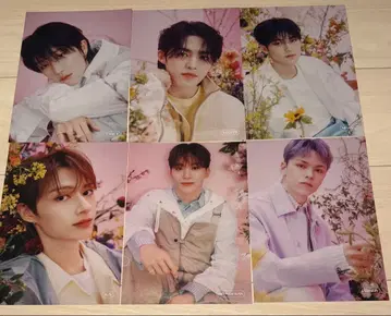 SEVENTEEN ALWAYS YOURS 타워 레코드 플라이어 6장