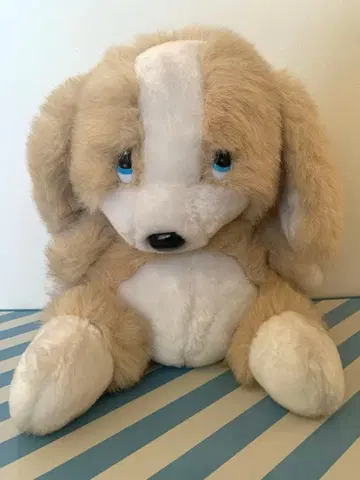 쇼와 레트로 빈티지 앉아있는 강아지 인형