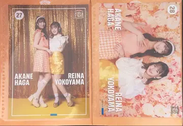 하가 아카네 요코야마 레나 핀포스