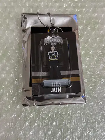 SEVENTEEN HOME 아크릴 스탠드 키링 준