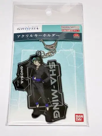 그노시아 GNOSIA 아크릴 키링 사밍