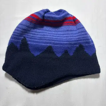 Patagonia 비니 니트 캡