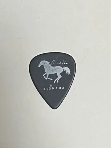 BIGMAMA 카나이 마사토 피크