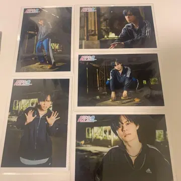 초특급 카이 브로마이드 DDD 도브리젠 솔로 컴프 세트